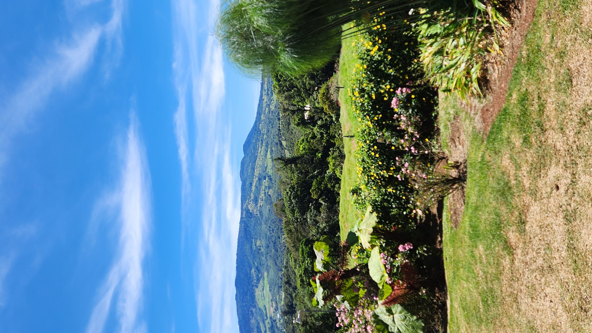 Sendero bosque nuboso Escape Poasito, Poasito Alajuela