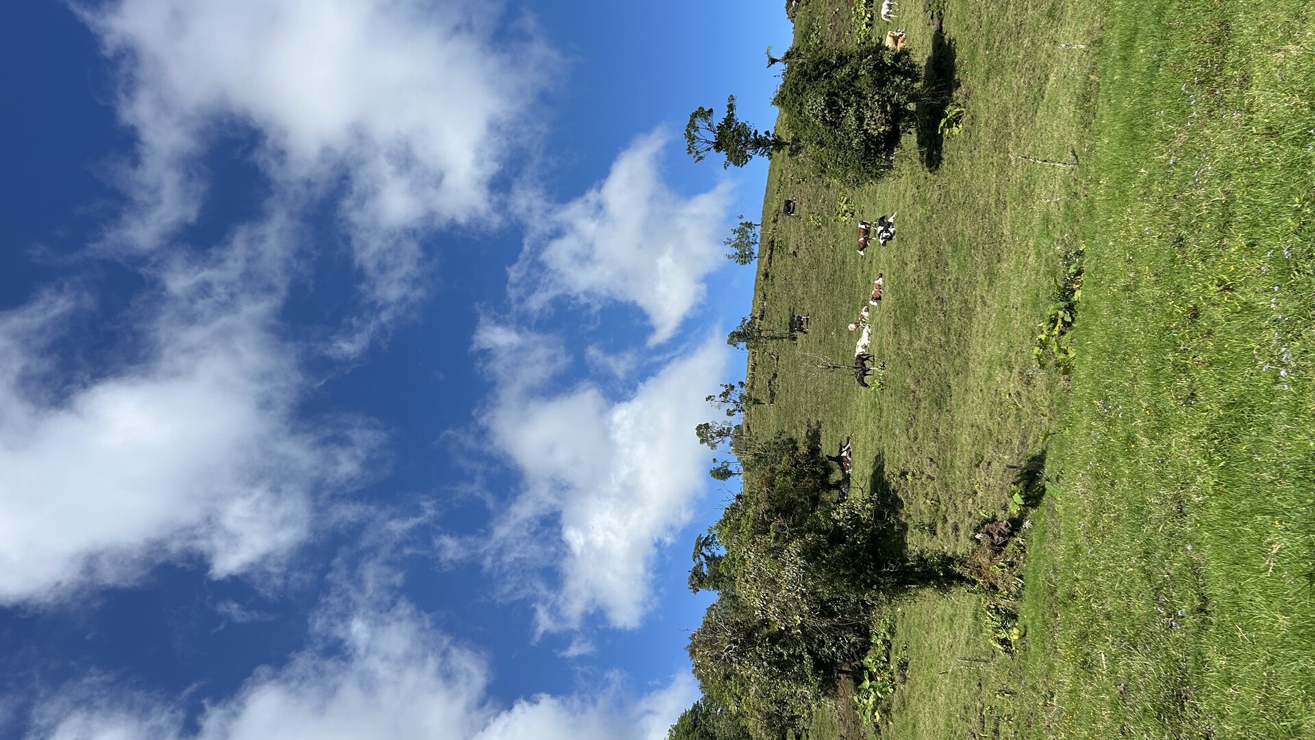 Vista panorámica desde los senderos de Escape Poasito