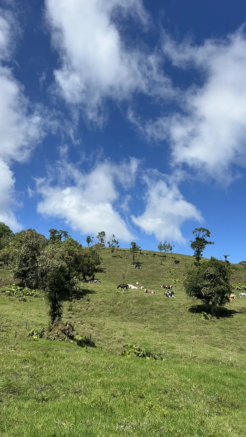 Vista panorámica desde los senderos de Escape Poasito