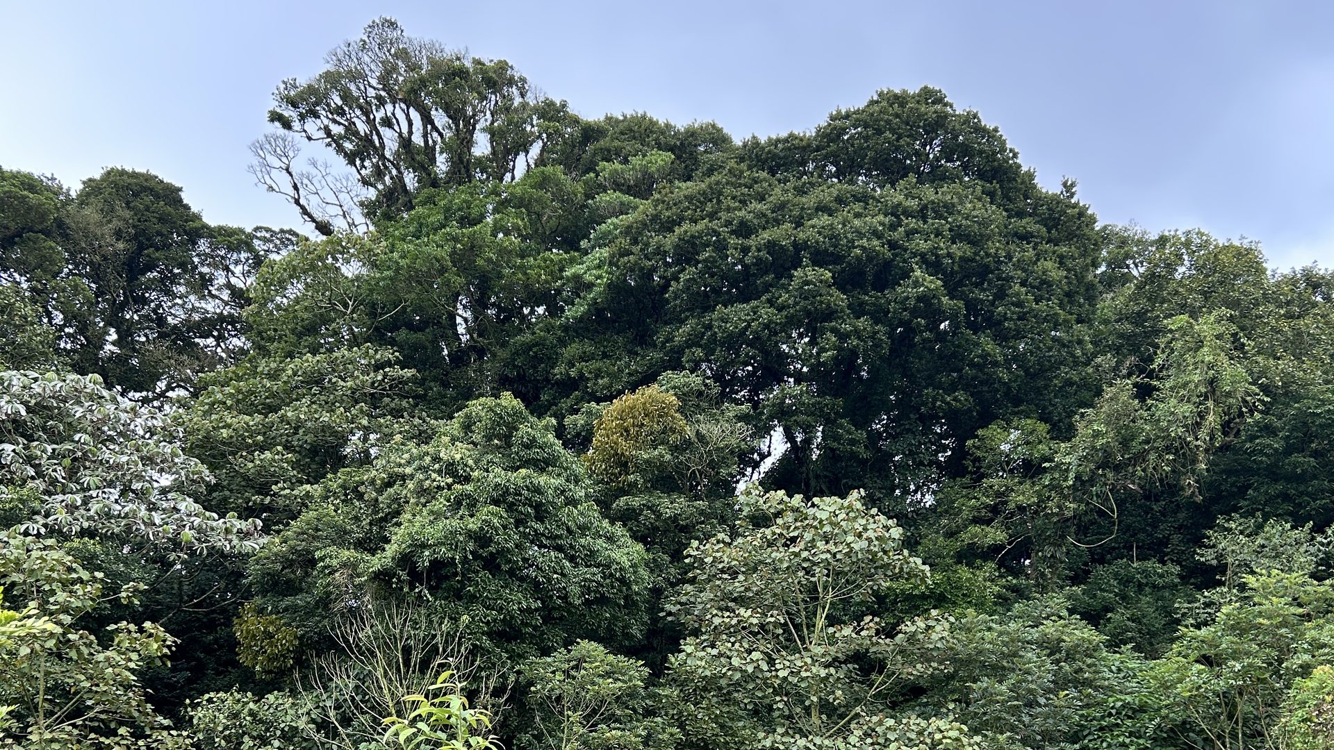 Vista panorámica de Escape Poasito, Poás Costa Rica