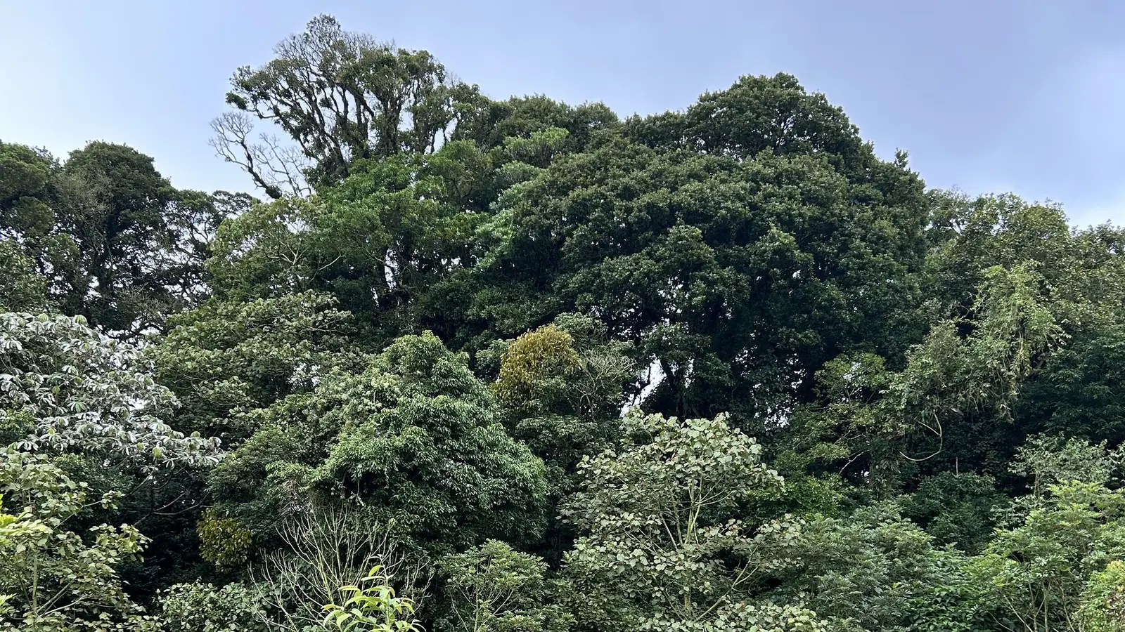 Vista panorámica de Escape Poasito, Alajuela Costa Rica